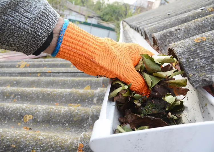Gutter Cleaning Service